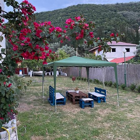 Camelia Studios Γένι Εξωτερικό φωτογραφία