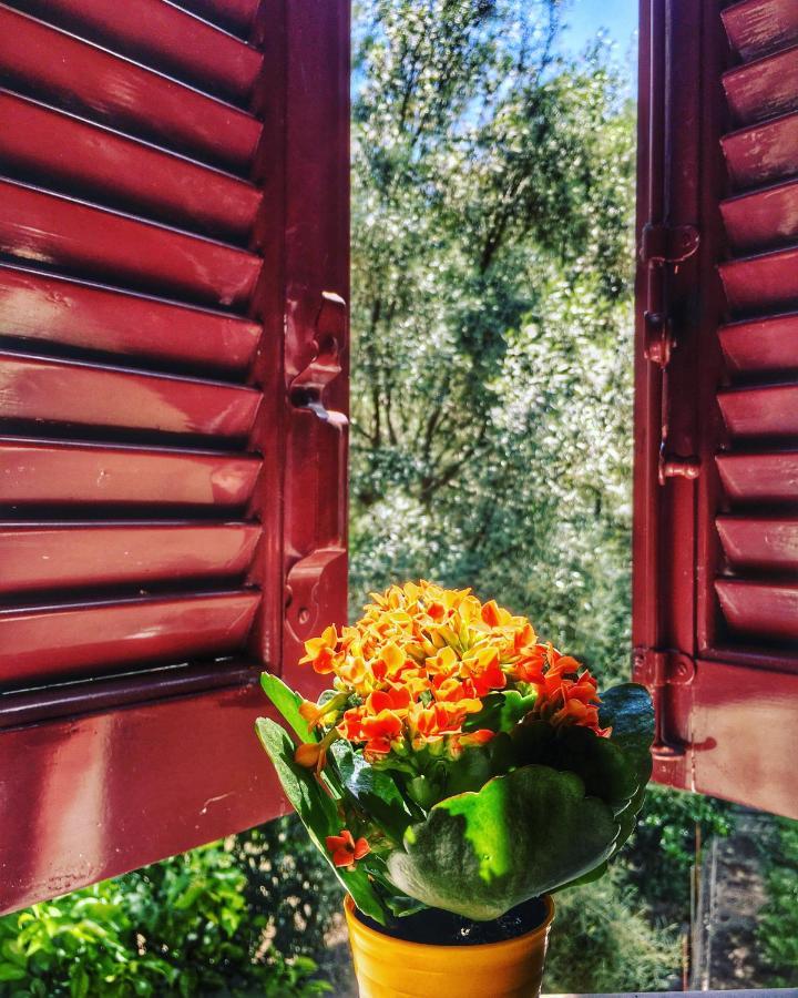 Camelia Studios Γένι Εξωτερικό φωτογραφία