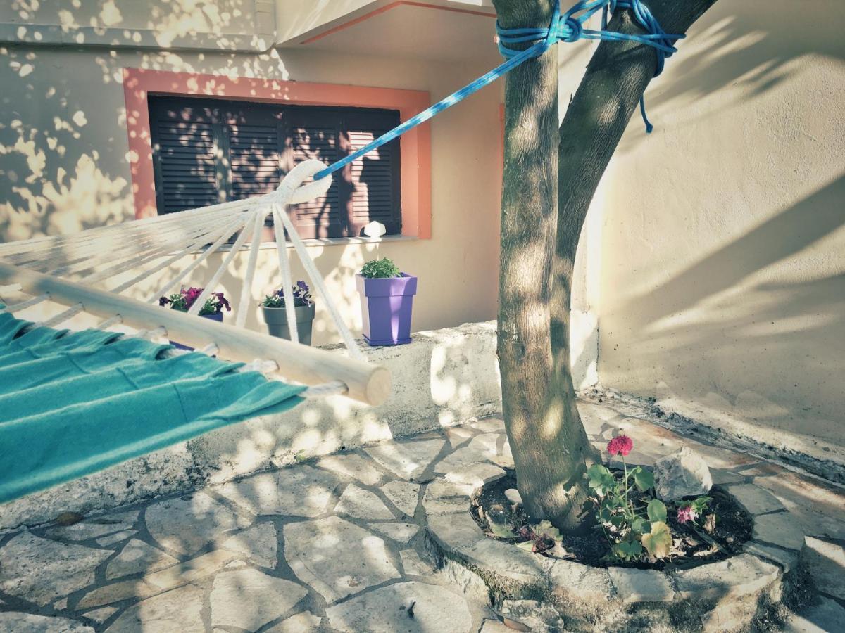 Camelia Studios Γένι Εξωτερικό φωτογραφία